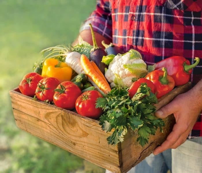 Người bệnh viêm đường tiết niệu nên ăn rau củ, rau xanh, trái cây tươi