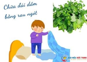 chua dai dam bang rau ngot 300x214 - [ BÍ QUYẾT] Chữa bệnh đái dầm bằng rau ngót hiệu quả ngay tại nhà