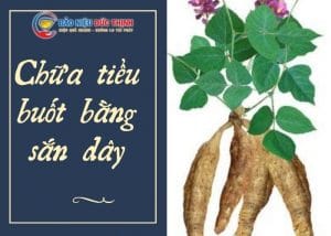 chua tieu buot bang san day 300x214 - Hướng dẫn cách chữa tiểu buốt bằng bột sắn dây chi tiết từ A - Z