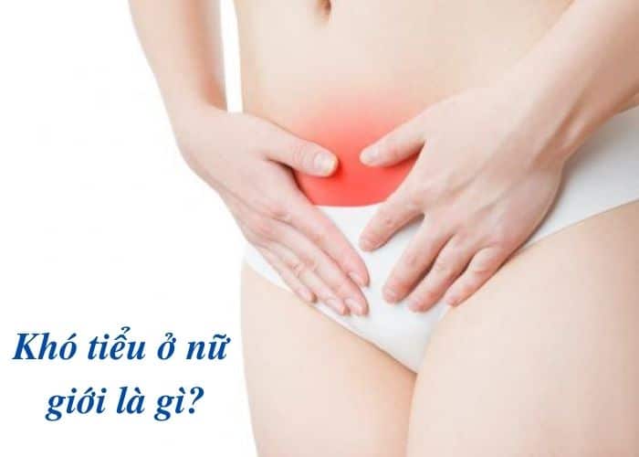 kho tieu nu la gi - [ GIẢI ĐÁP] Lý giải chi tiết hiện tượng khó tiểu ở nữ giới và cách chữa an toàn nhất