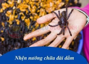 nhen nuong chua dai dam 300x214 - Chia sẻ bài thuốc dân gian "kỳ quái": ăn nhện nướng chữa đái dầm