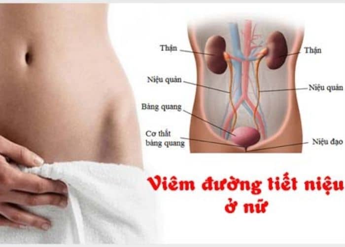 nguyen nhan dan den viem duog tiet nieu o nu 2 - Nguyên nhân dẫn đến viêm đường tiết niệu ở nữ giới là gì?